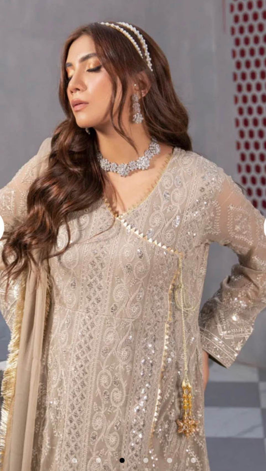 Baby Pink Anarkali Suit
